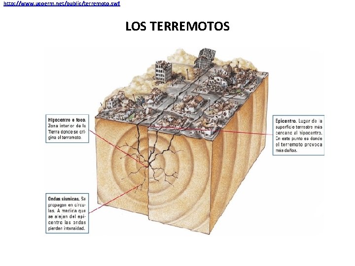 http: //www. ucoerm. net/public/terremoto. swf LOS TERREMOTOS 