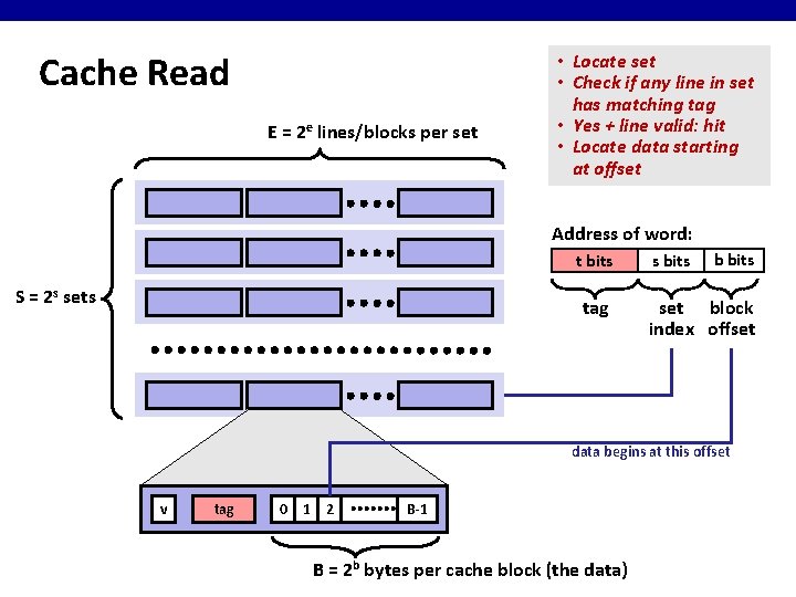 Cache Read E = 2 e lines/blocks per set • Locate set • Check