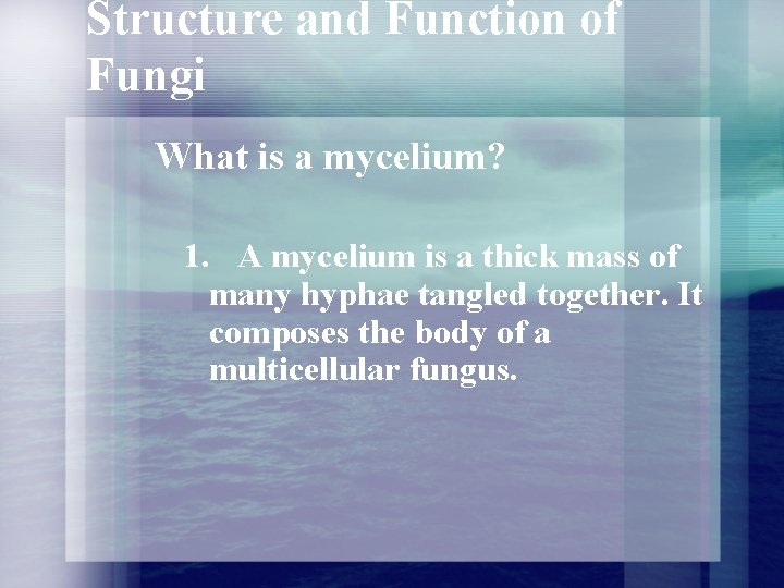 Structure and Function of Fungi What is a mycelium? 1. A mycelium is a Structure and Function of Fungi What is a mycelium? 1. A mycelium is a