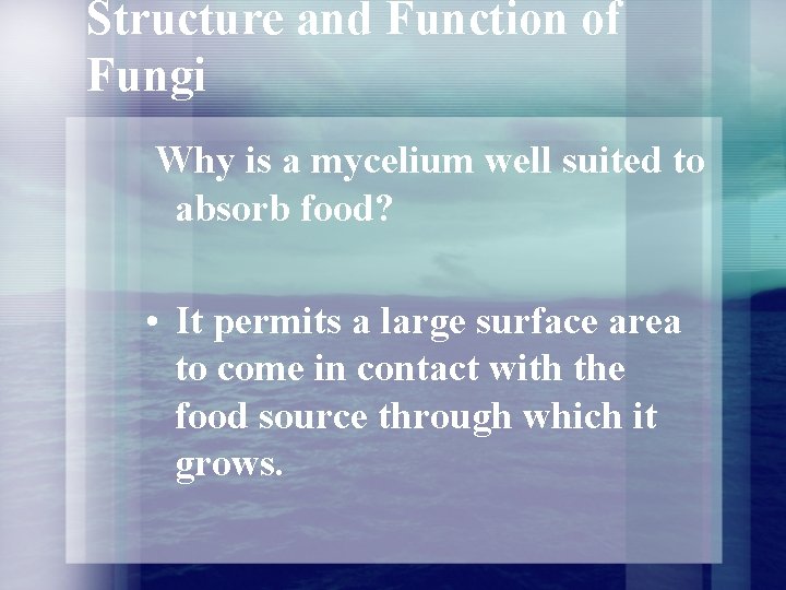 Structure and Function of Fungi Why is a mycelium well suited to absorb food? Structure and Function of Fungi Why is a mycelium well suited to absorb food?