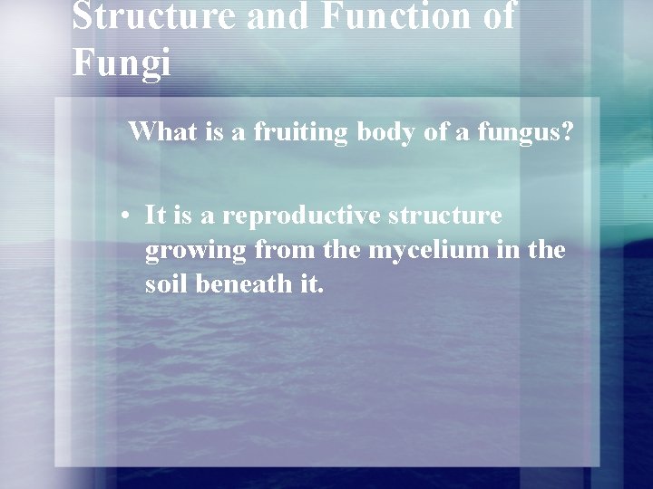 Structure and Function of Fungi What is a fruiting body of a fungus? • Structure and Function of Fungi What is a fruiting body of a fungus? •