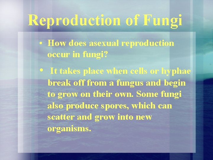 Reproduction of Fungi • How does asexual reproduction occur in fungi? • It takes Reproduction of Fungi • How does asexual reproduction occur in fungi? • It takes