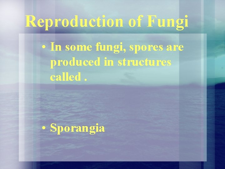 Reproduction of Fungi • In some fungi, spores are produced in structures called. • Reproduction of Fungi • In some fungi, spores are produced in structures called. •