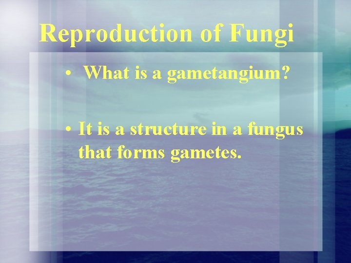 Reproduction of Fungi • What is a gametangium? • It is a structure in Reproduction of Fungi • What is a gametangium? • It is a structure in