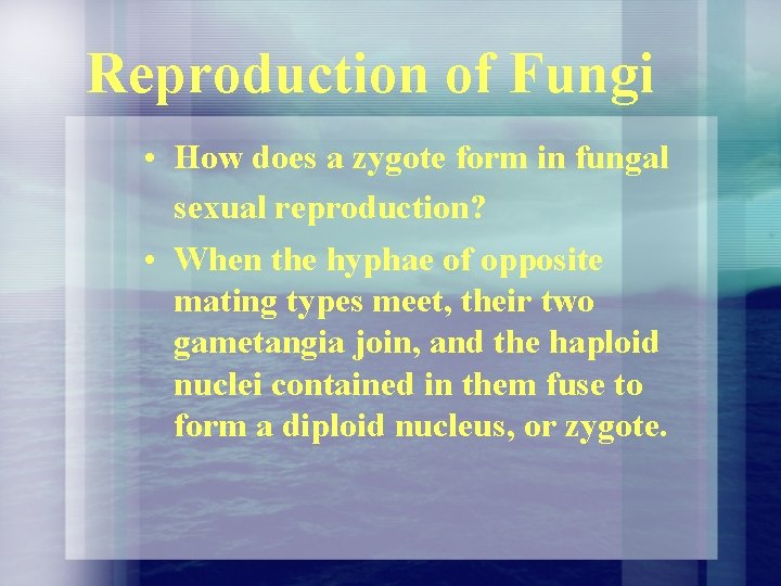 Reproduction of Fungi • How does a zygote form in fungal sexual reproduction? • Reproduction of Fungi • How does a zygote form in fungal sexual reproduction? •