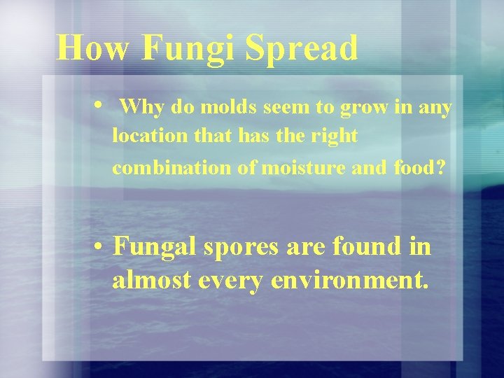 How Fungi Spread • Why do molds seem to grow in any location that How Fungi Spread • Why do molds seem to grow in any location that