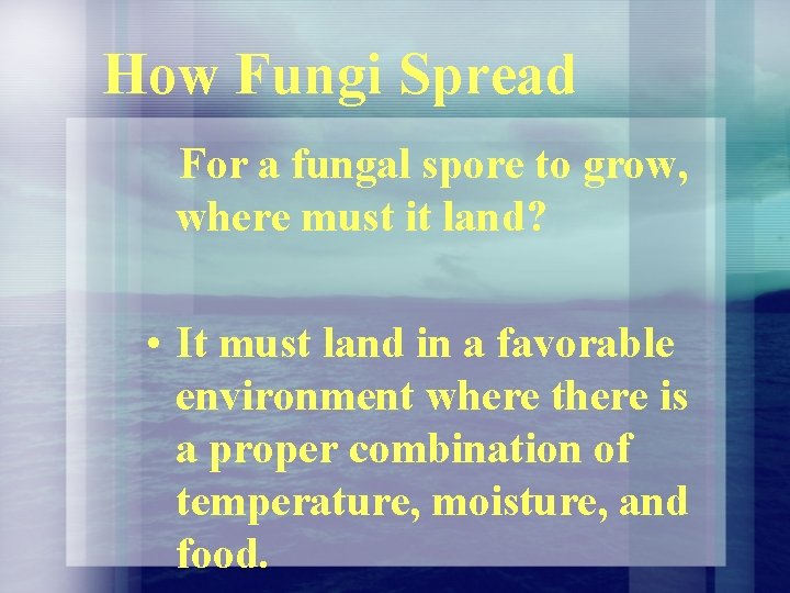 How Fungi Spread For a fungal spore to grow, where must it land? • How Fungi Spread For a fungal spore to grow, where must it land? •