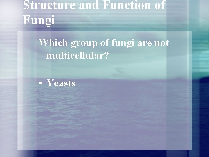 Structure and Function of Fungi Which group of fungi are not multicellular? • Yeasts Structure and Function of Fungi Which group of fungi are not multicellular? • Yeasts
