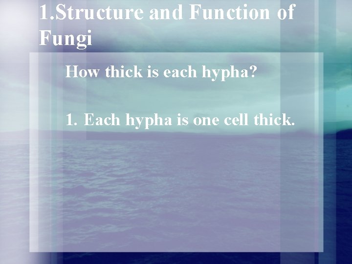 1. Structure and Function of Fungi How thick is each hypha? 1. Each hypha 1. Structure and Function of Fungi How thick is each hypha? 1. Each hypha