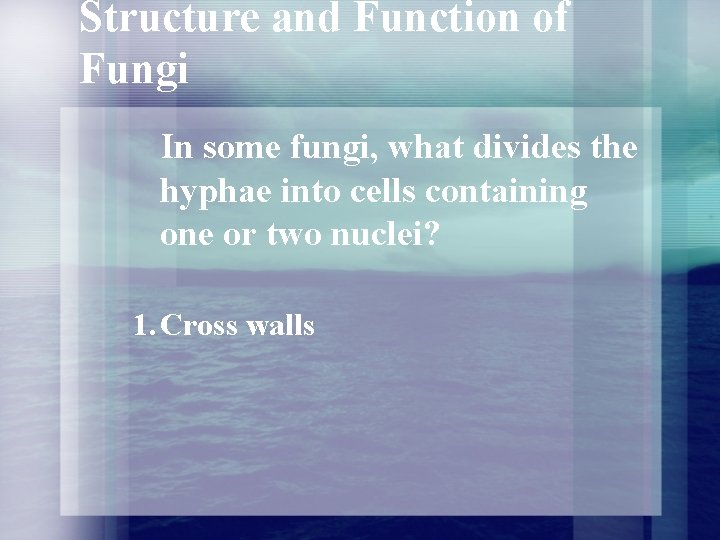 Structure and Function of Fungi In some fungi, what divides the hyphae into cells Structure and Function of Fungi In some fungi, what divides the hyphae into cells