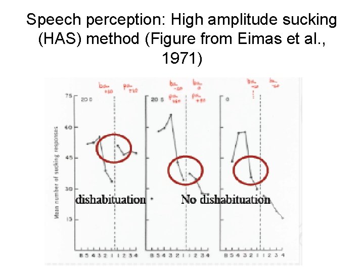Speech perception: High amplitude sucking (HAS) method (Figure from Eimas et al. , 1971)
