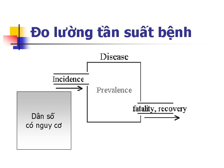 Đo lường tần suất bệnh Dân số có nguy cơ 