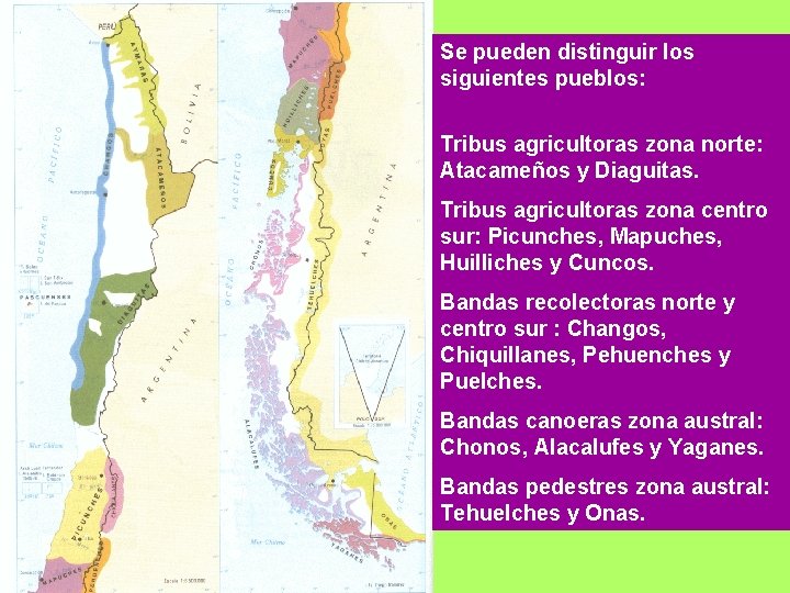 Se pueden distinguir los siguientes pueblos: Tribus agricultoras zona norte: Atacameños y Diaguitas. Tribus