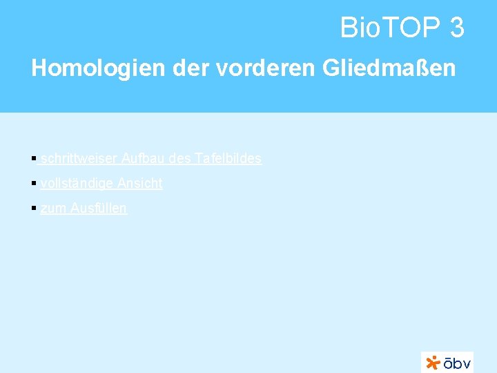 Bio. TOP 3 Homologien der vorderen Gliedmaßen § schrittweiser Aufbau des Tafelbildes § vollständige