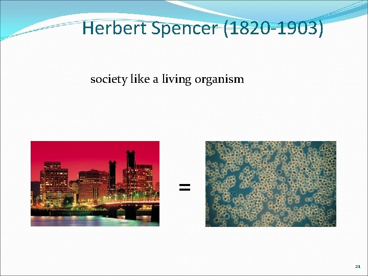 Herbert Spencer (1820 -1903) society like a living organism = 21 