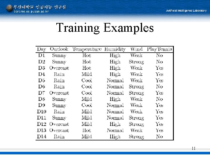 Training Examples 11 