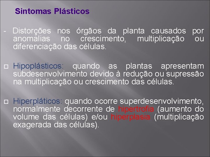 Sintomas Plásticos - Distorções nos órgãos da planta causados por anomalias no crescimento, multiplicação