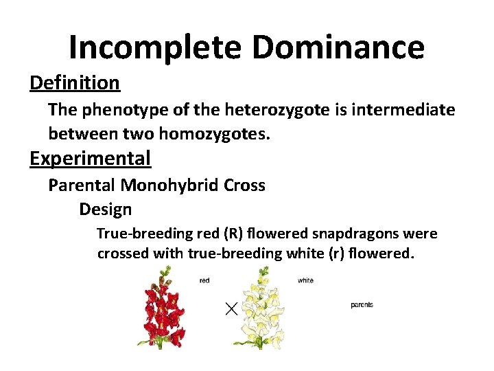 Incomplete Dominance Definition The phenotype of the heterozygote is intermediate between two homozygotes. Experimental