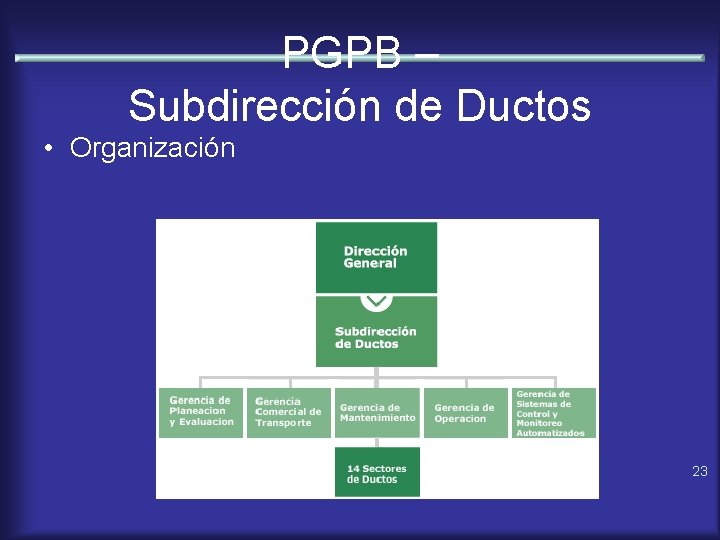 PGPB – Subdirección de Ductos • Organización 23 