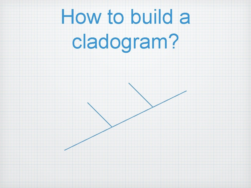 How to build a cladogram? 