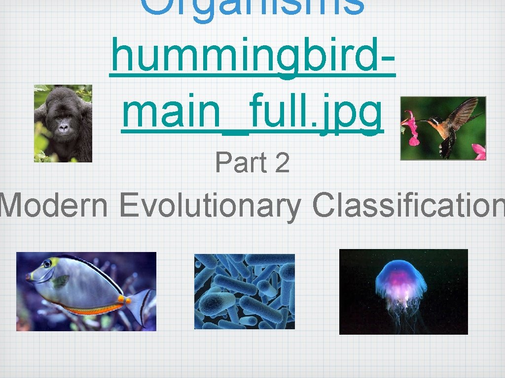 Organisms hummingbirdmain_full. jpg Part 2 Modern Evolutionary Classification 