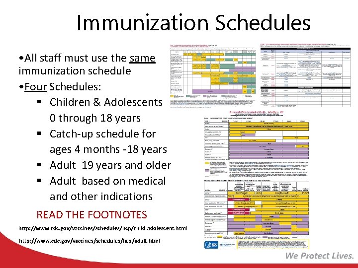 Immunization Schedules • All staff must use the same immunization schedule • Four Schedules: