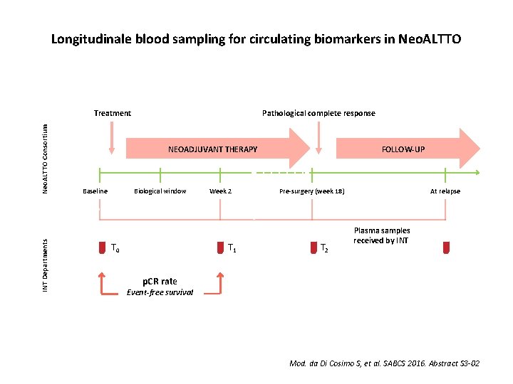 Longitudinale blood sampling for circulating biomarkers in Neo. ALTTO INT Departments Neo. ALTTO Consortium