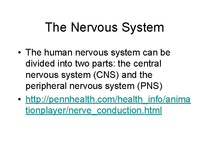 The Nervous System • The human nervous system can be divided into two parts: