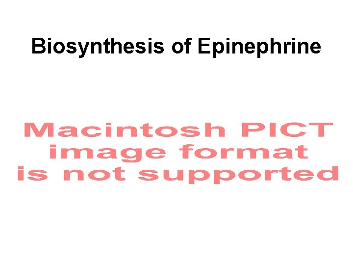 Biosynthesis of Epinephrine 