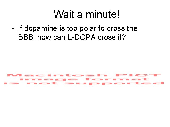 Wait a minute! • If dopamine is too polar to cross the BBB, how