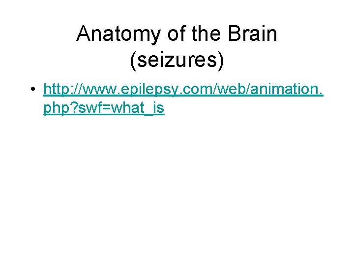 Anatomy of the Brain (seizures) • http: //www. epilepsy. com/web/animation. php? swf=what_is 