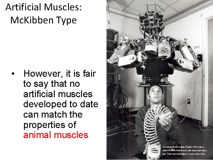 Artificial Muscles: Mc. Kibben Type • However, it is fair to say that no