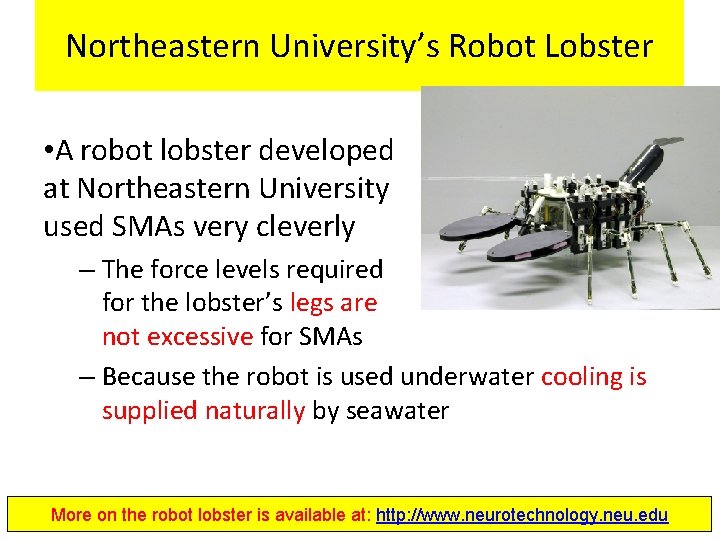 Northeastern University’s Robot Lobster • A robot lobster developed at Northeastern University used SMAs