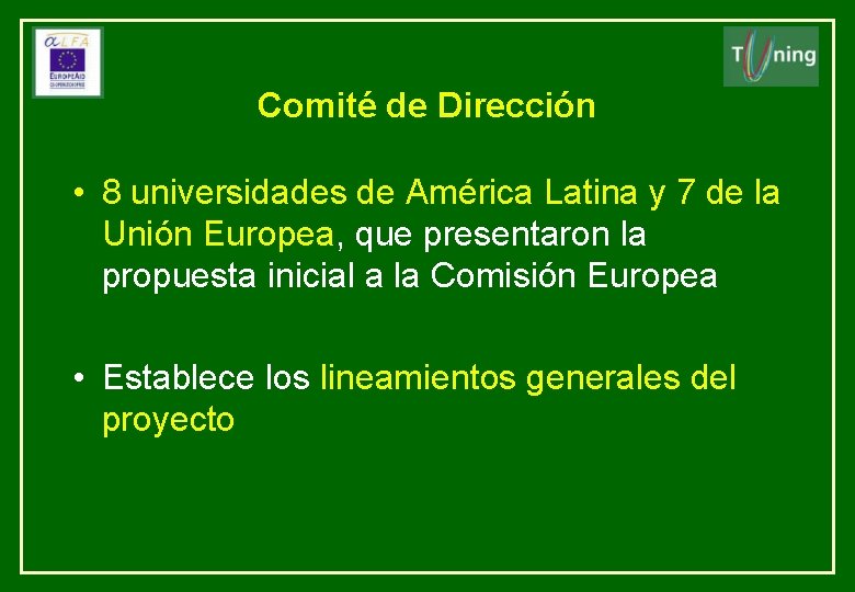 Comité de Dirección • 8 universidades de América Latina y 7 de la Unión