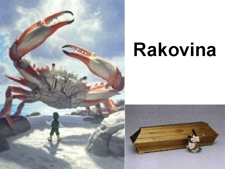 Rakovina 