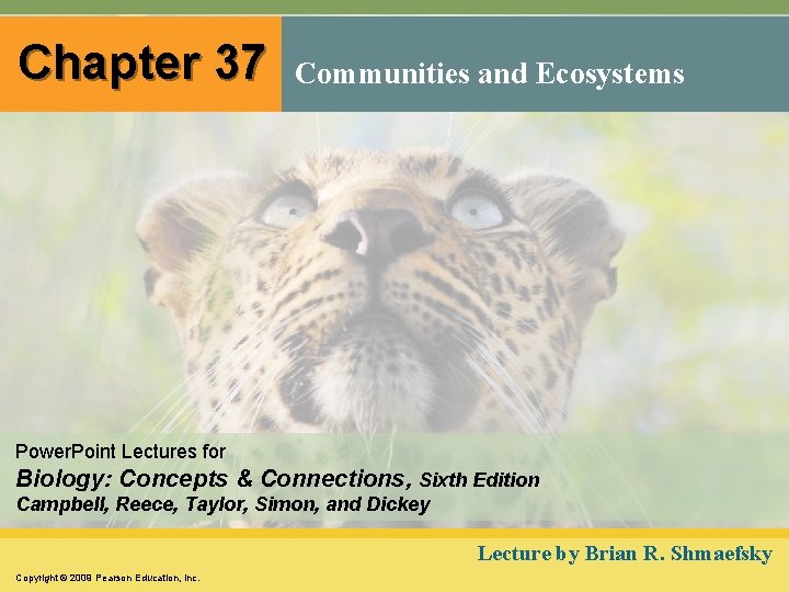 Chapter 37 Communities and Ecosystems Power. Point Lectures for Biology: Concepts & Connections, Sixth