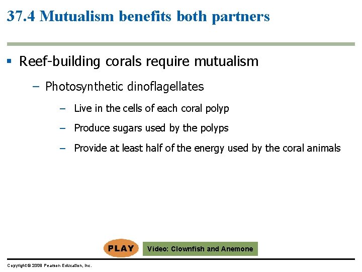 37. 4 Mutualism benefits both partners § Reef-building corals require mutualism – Photosynthetic dinoflagellates