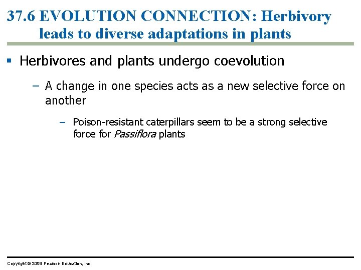 37. 6 EVOLUTION CONNECTION: Herbivory leads to diverse adaptations in plants § Herbivores and