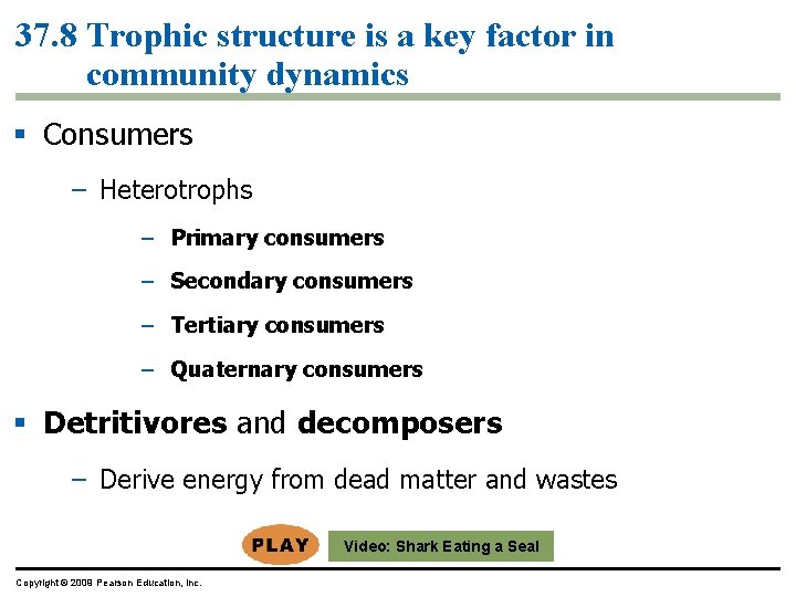 37. 8 Trophic structure is a key factor in community dynamics § Consumers –