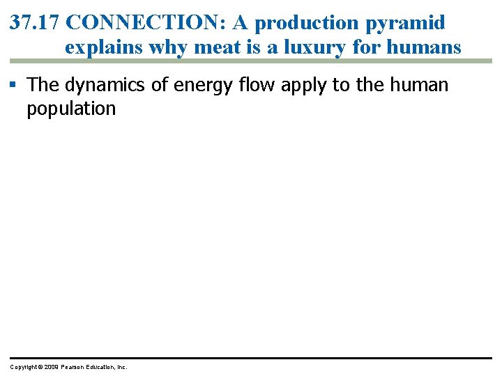 37. 17 CONNECTION: A production pyramid explains why meat is a luxury for humans