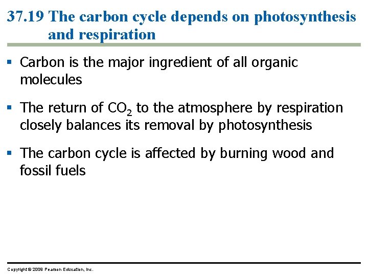 37. 19 The carbon cycle depends on photosynthesis and respiration § Carbon is the