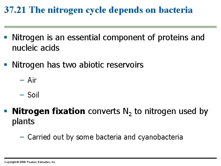 37. 21 The nitrogen cycle depends on bacteria § Nitrogen is an essential component