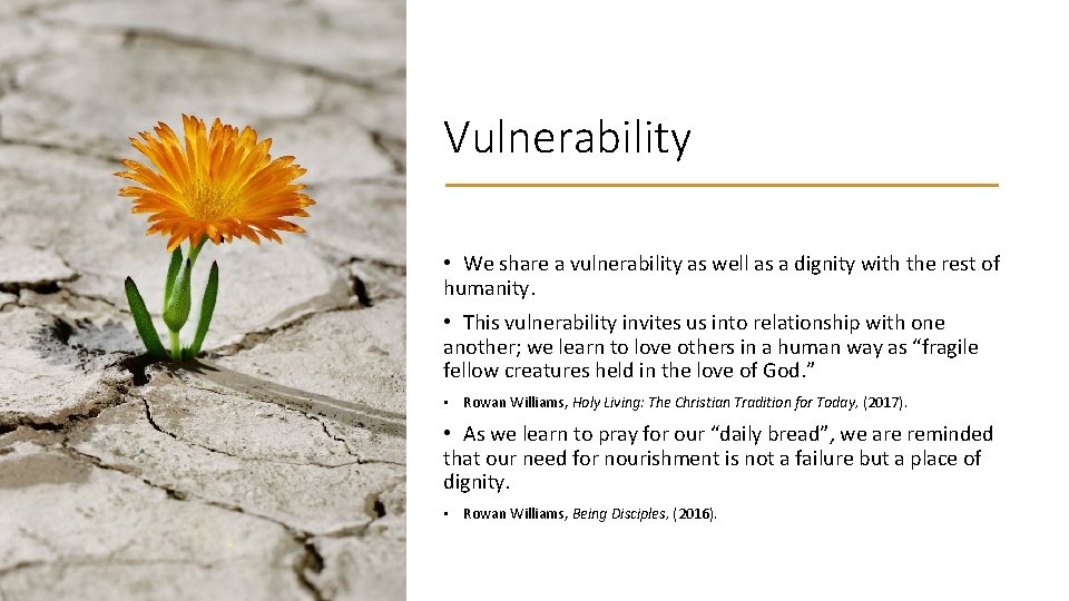 Vulnerability • We share a vulnerability as well as a dignity with the rest