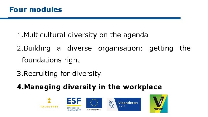 Four modules 1. Multicultural diversity on the agenda 2. Building a diverse organisation: getting