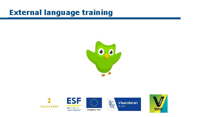 External language training 
