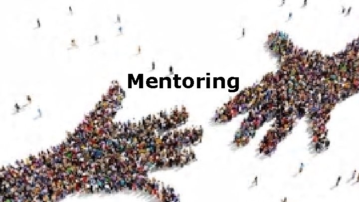 Mentoring 