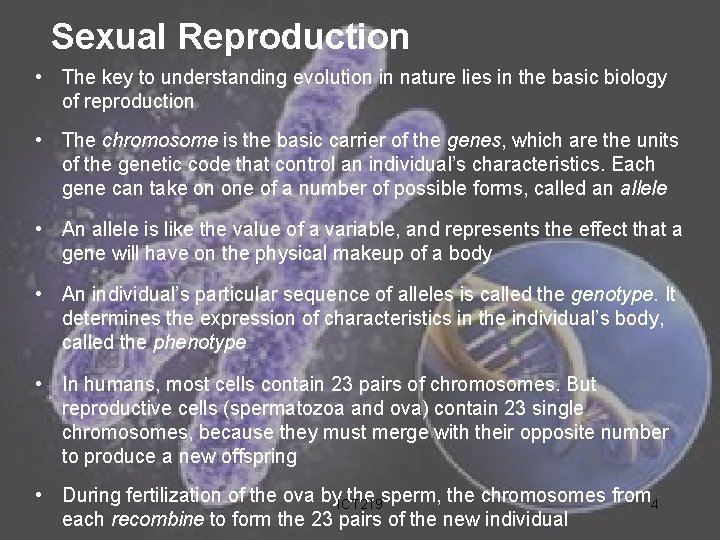 Sexual Reproduction • The key to understanding evolution in nature lies in the basic