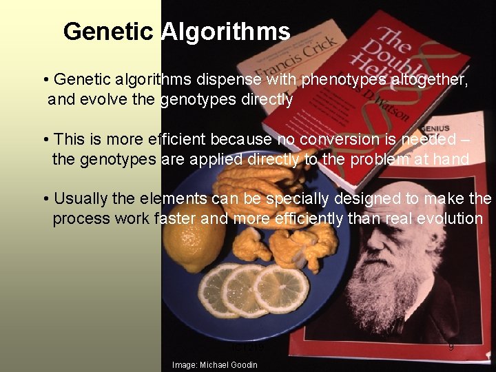 Genetic Algorithms • Genetic algorithms dispense with phenotypes altogether, and evolve the genotypes directly