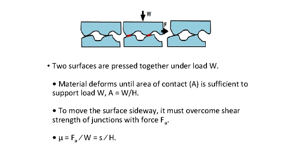  • Two surfaces are pressed together under load W. • Material deforms until