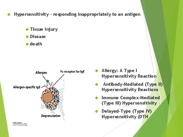  Hypersensitivity – responding inappropriately to an antigen Tissue injury Disease death Allergy: A